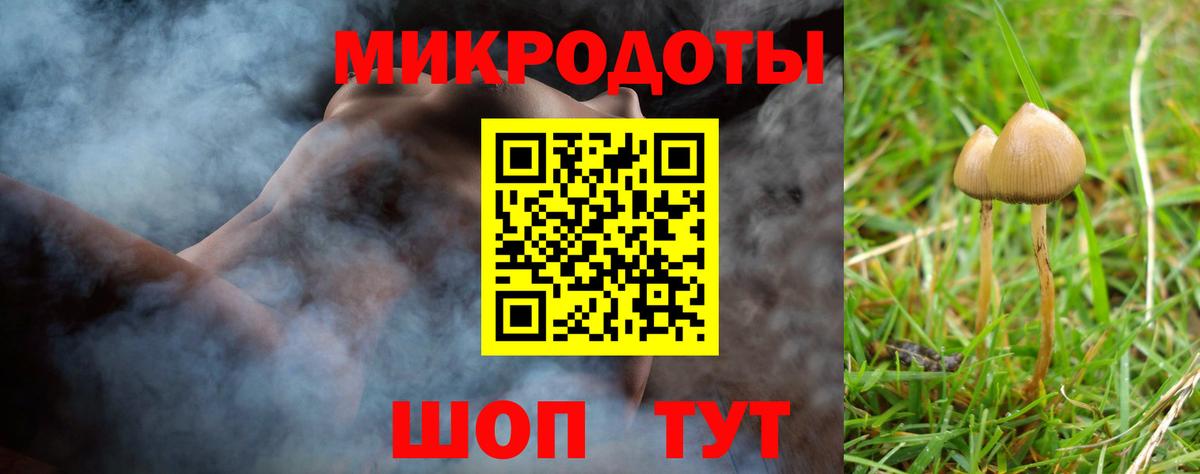 Конаково  Псилоцибиновые грибы прущие грибы  Вход с VPN 